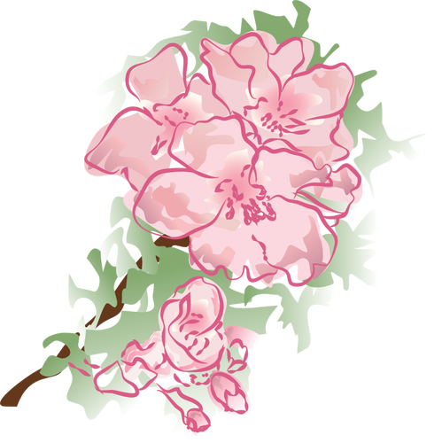 Dekoration blomma vektor illustration