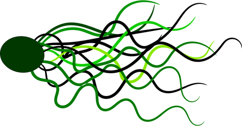 Linee fluide vettoriale immagine