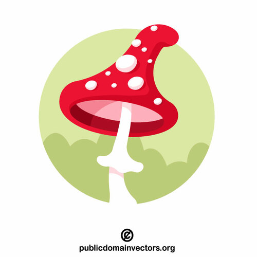 Fly agaric sieni