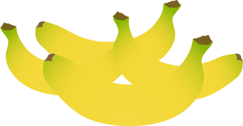 Illustration couleur de bananes jaunes