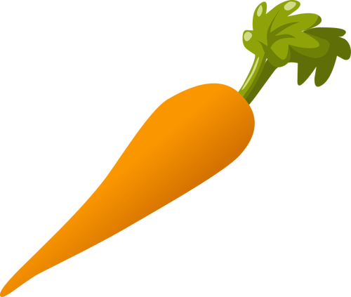 Vegetariano de cenoura