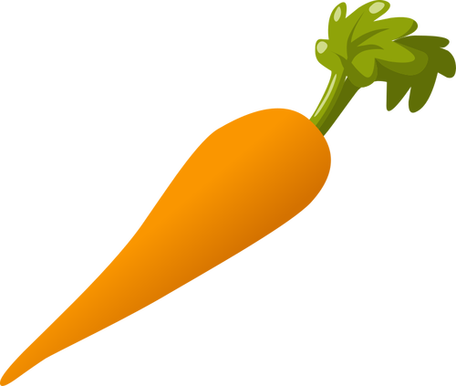 Morcov veggie