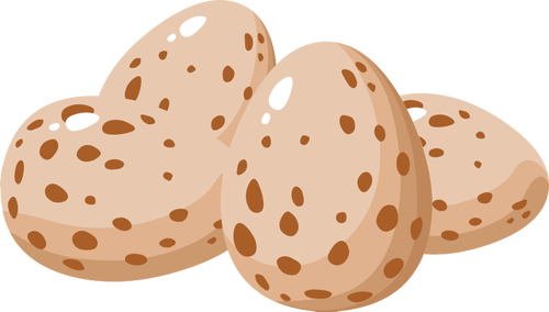 Vanlig egg