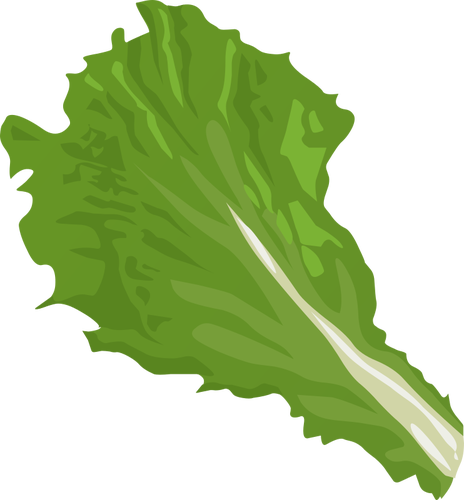 Veggie leaf