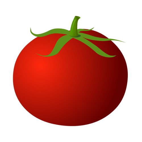 Świeży pomidor