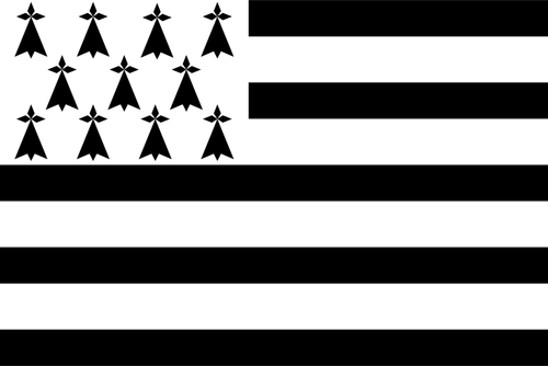 Drapeau de région Bretagne vector dessin