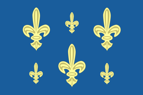 Pavillon de marine Français vector image