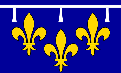 Bandiera regione Orléanais vettoriali di disegno