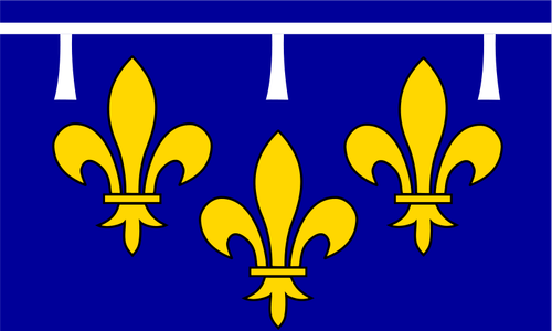 Orléanais region flagga vektor ritning