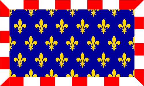 Drapeau de région Touraine vector image