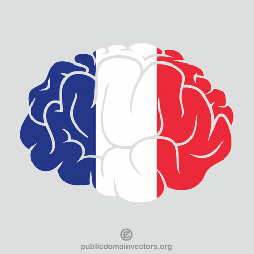 Silhueta cerebral da bandeira francesa