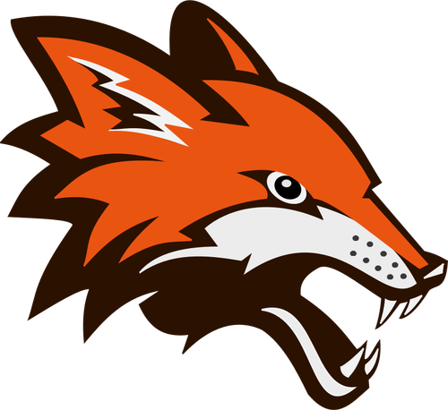 Sint oransje fox vector illustrasjon