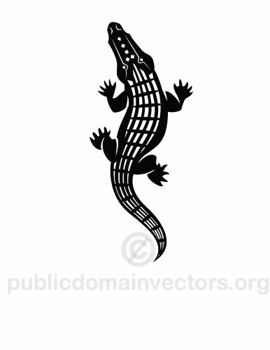 Alligator-Vektor-Bild