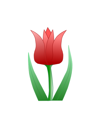 Tulip flower vector illustraties