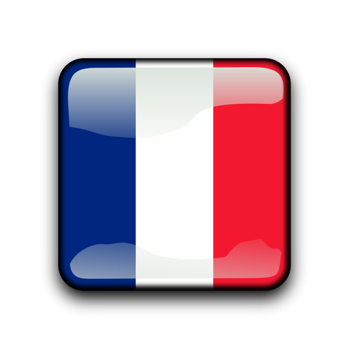 French Guiana flag button