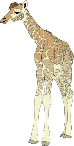 Zeichnung von Giraffenbaby
