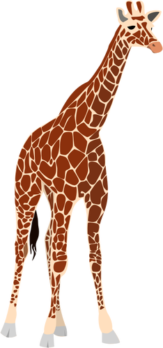 Vector illustration of tall brown giraffe