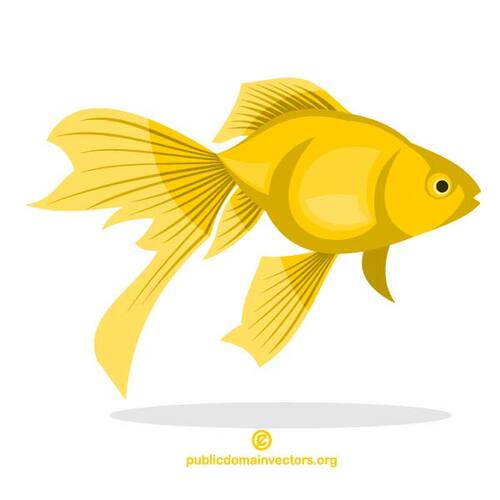Goldfish vector imagine