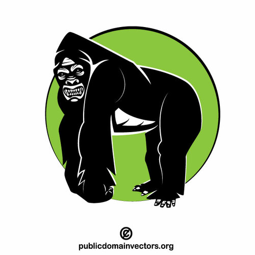 Gorilla