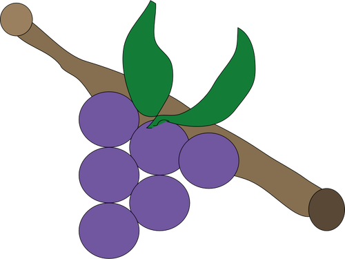 Buah anggur ungu vektor gambar