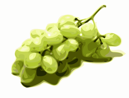 Obraz stylizowany zielonych winogron