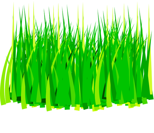 Feuilles d’herbe du printemps