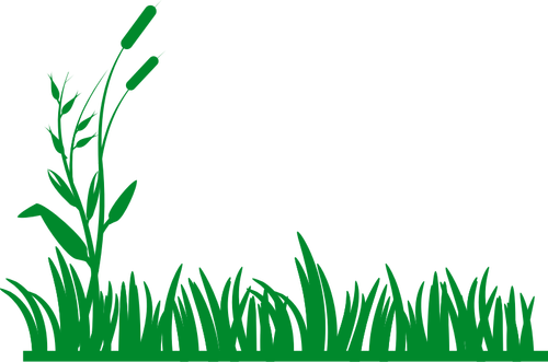 Grafika wektorowa trawa tło