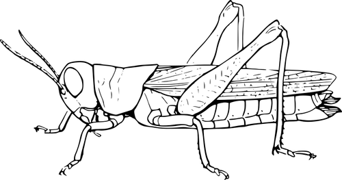 Gräshoppa symbol