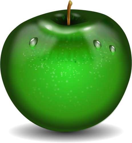 Vector illustration of photorealistic green wet apple