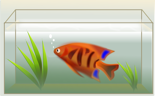 Orange fisk i akvariet vektor illustration