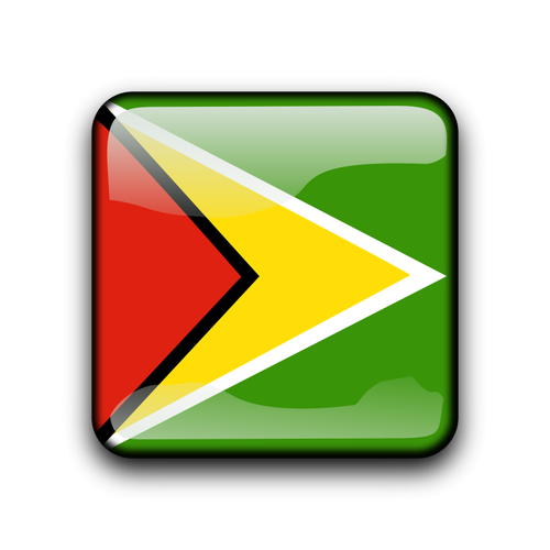 Guyana bendera tombol