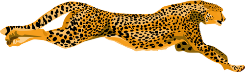 Macan tutul cheetah vektor gambar