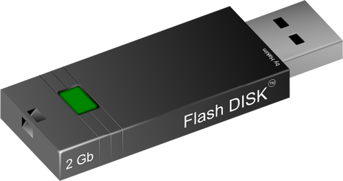 2GB flash disk vector imagine