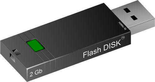 2 Gt flash-levyvektorikuva