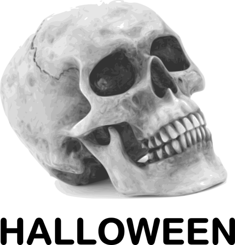 Halloween lebka vektorový obrázek