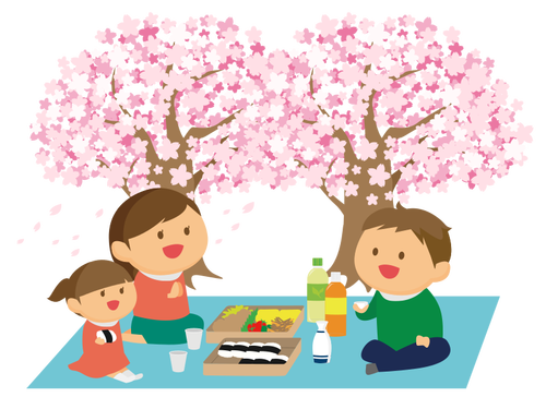 Picknick med körsbärsblommor