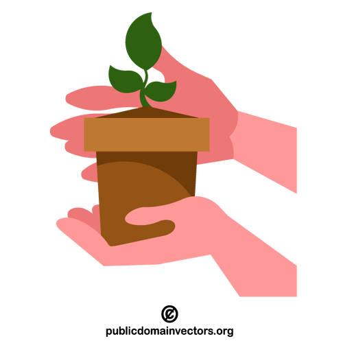 Mãos segurando uma planta brotam no vaso