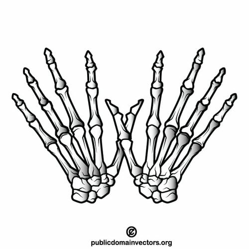 Esqueleto de manos