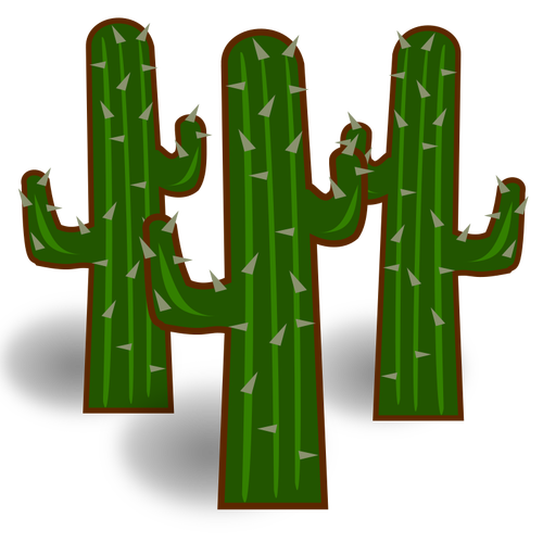 Three cactus