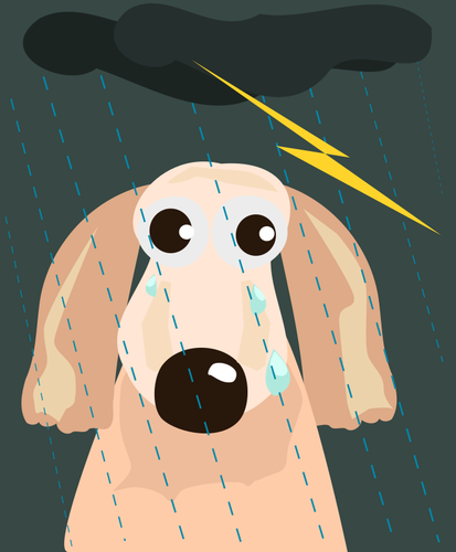Surullinen koira sateessa