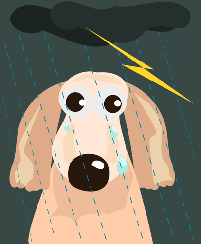 Chien triste sous la pluie