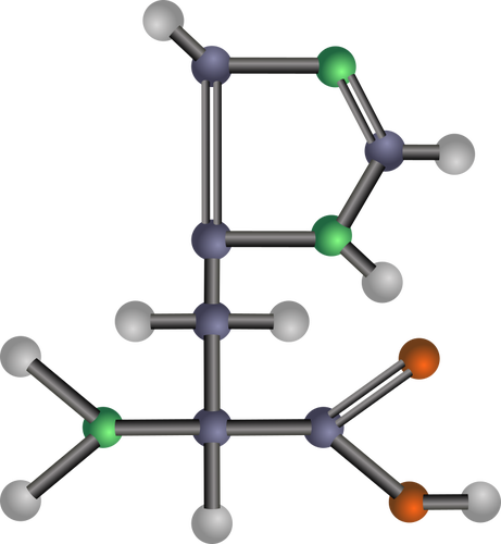 Aminosyren histidin