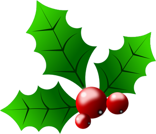 Vektorgrafikk utklipp av sesongen holly detaljer