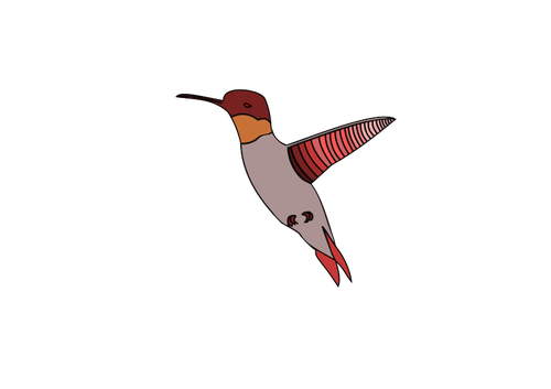 Векторное изображение полета колибри