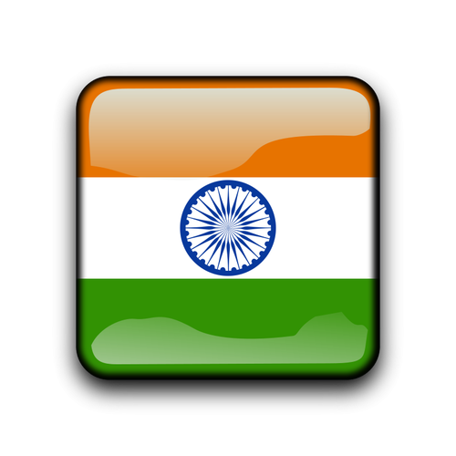 भारतीय ध्वज बटन
