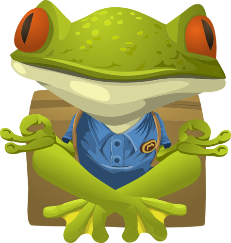 Yoga frog