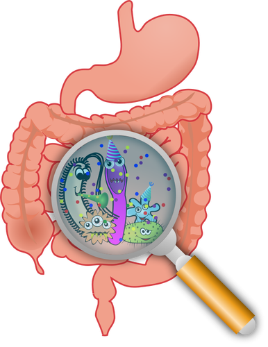 Party in the intestines vector illustration