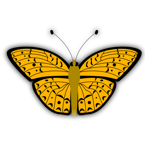 Vector de la imagen de mariposa naranja patrón