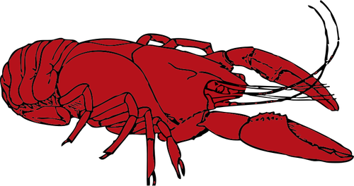 Écrevisse rouge vector clipart