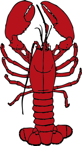 Vektor menggambar lobster
